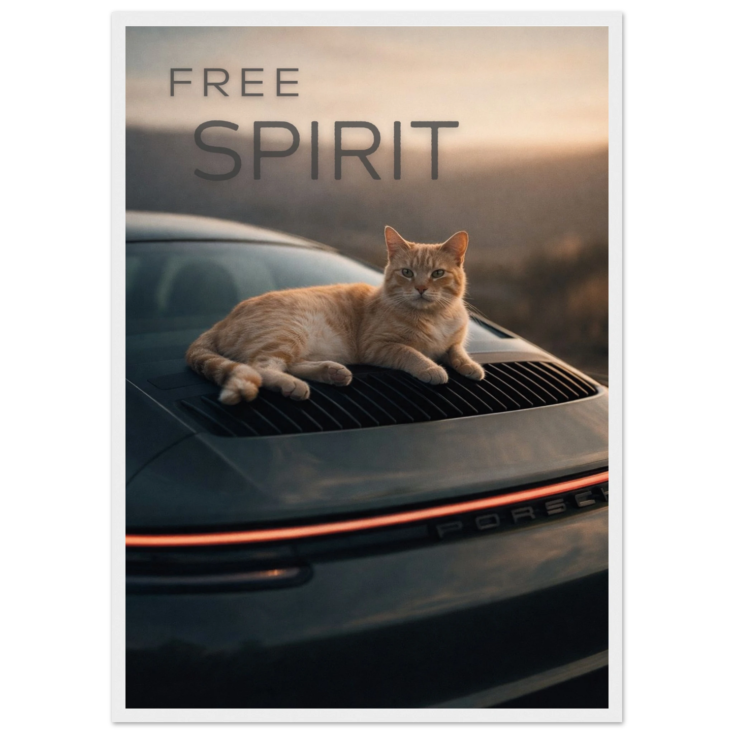 78ba9ccd-1e56-4b5e-bcb9-515a2315a9b5