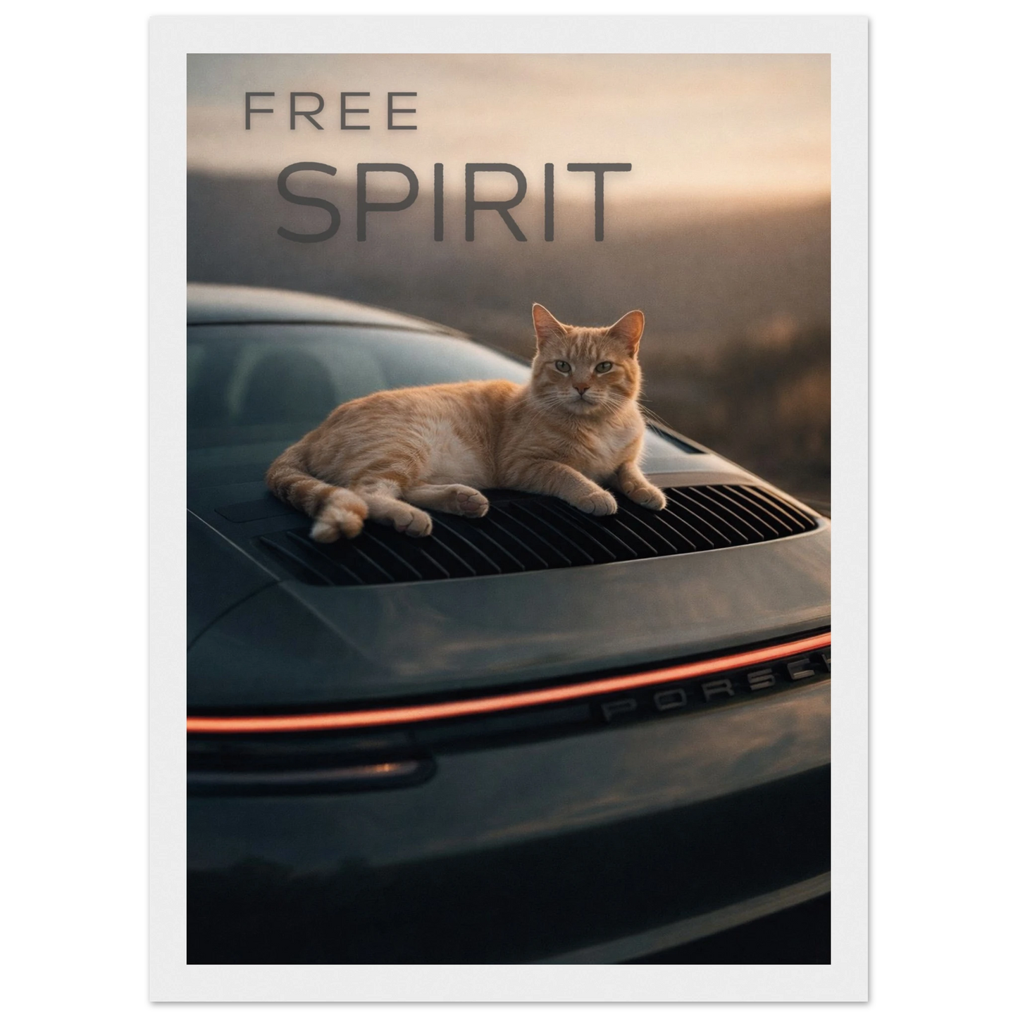 0484e610-d582-4374-8c13-2226b4cafde9