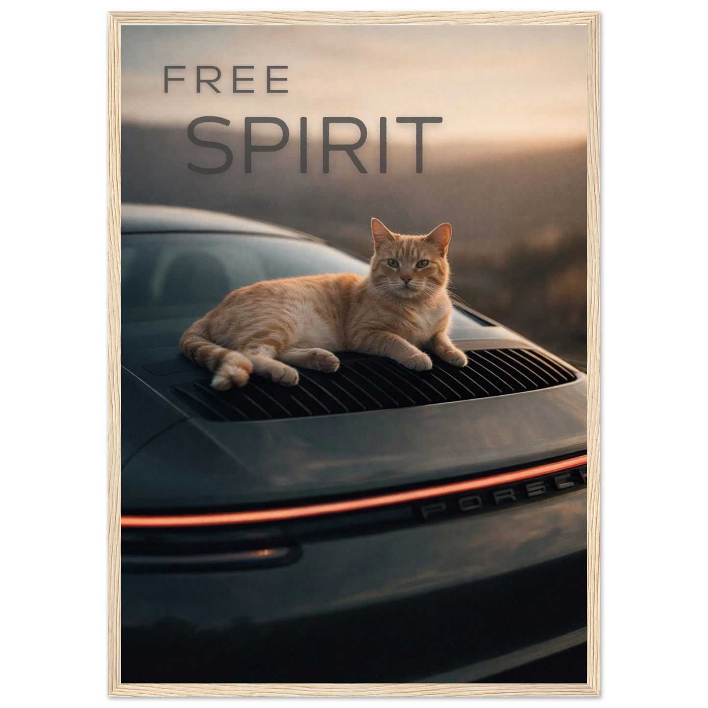 16ab89fd-09e3-4cd1-ba45-dbfd67065b23