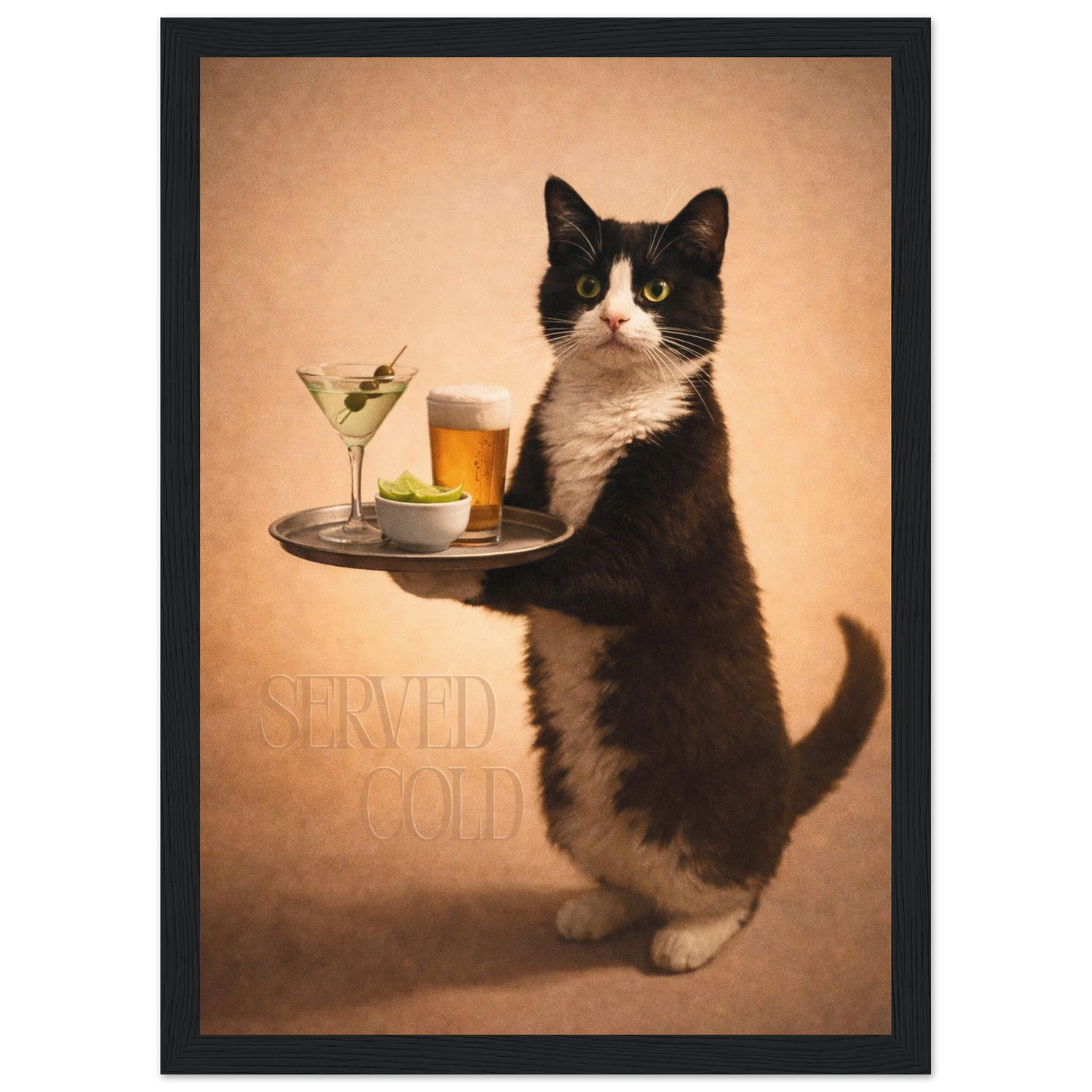 1dcbafd0-ee17-4c6c-a439-c94612b71e78