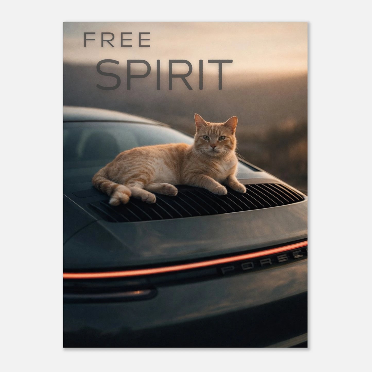 358f6821-1475-44ef-a878-3245d5b2d1ac