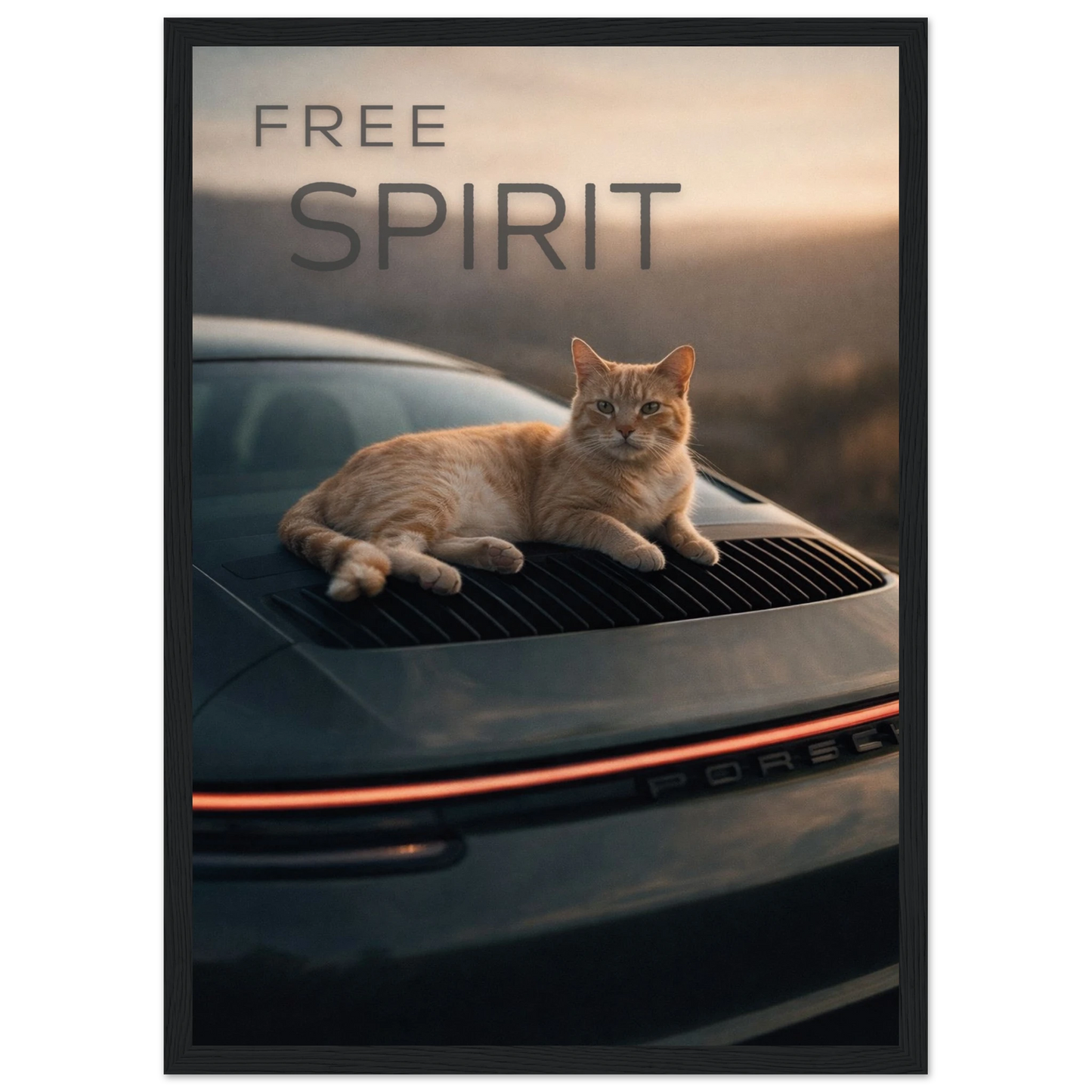 374305f8-e5f0-4aeb-b8a1-308c809aa110