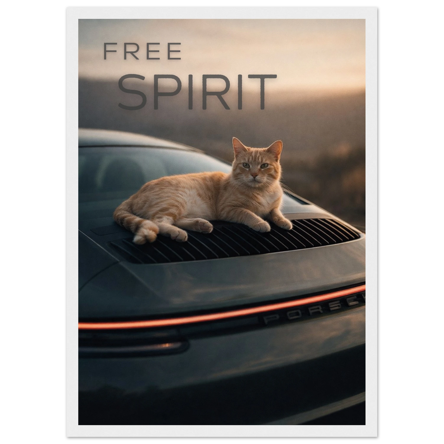 4a7f35f6-17f5-4242-b180-7854670df832