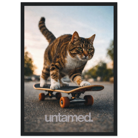 6e3ce110-21c6-40f2-b43b-ef39d252224f