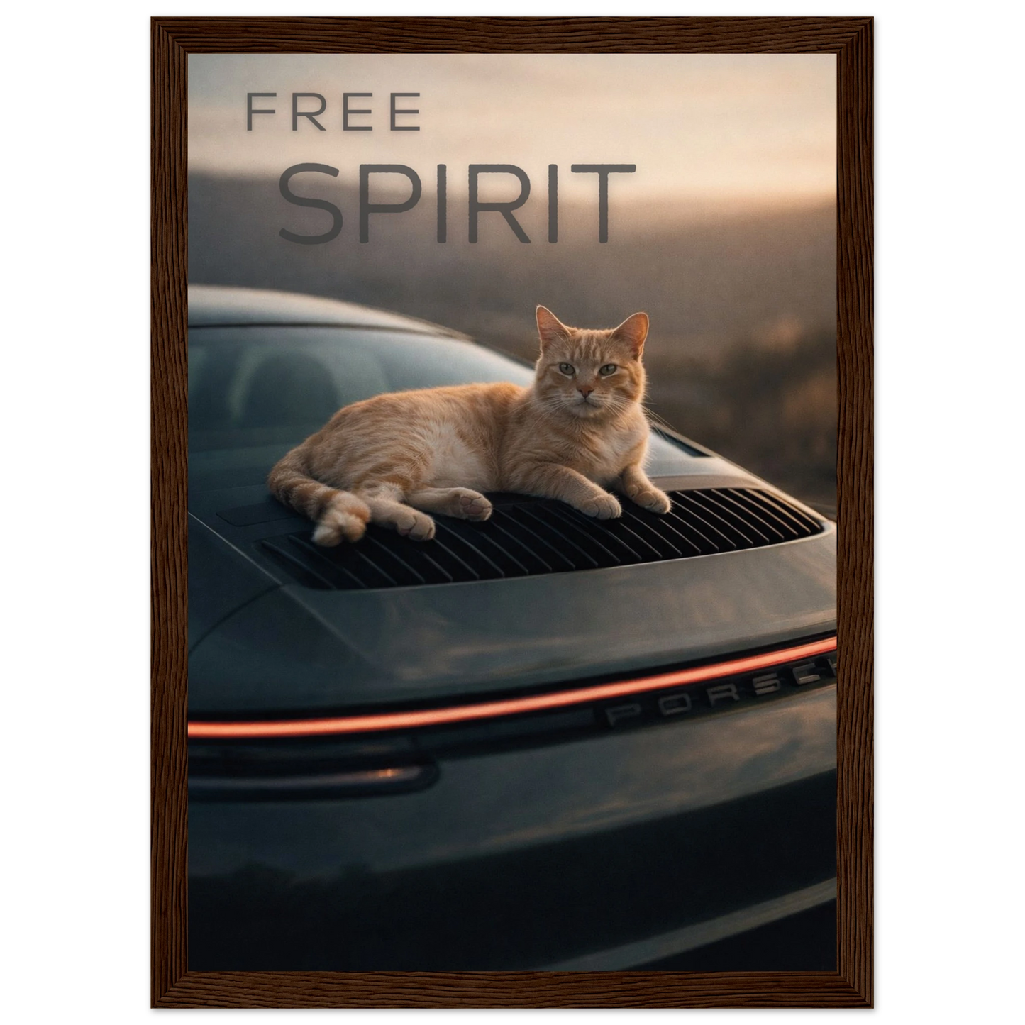 772a896d-8752-4f87-a70b-05fff2288fd9