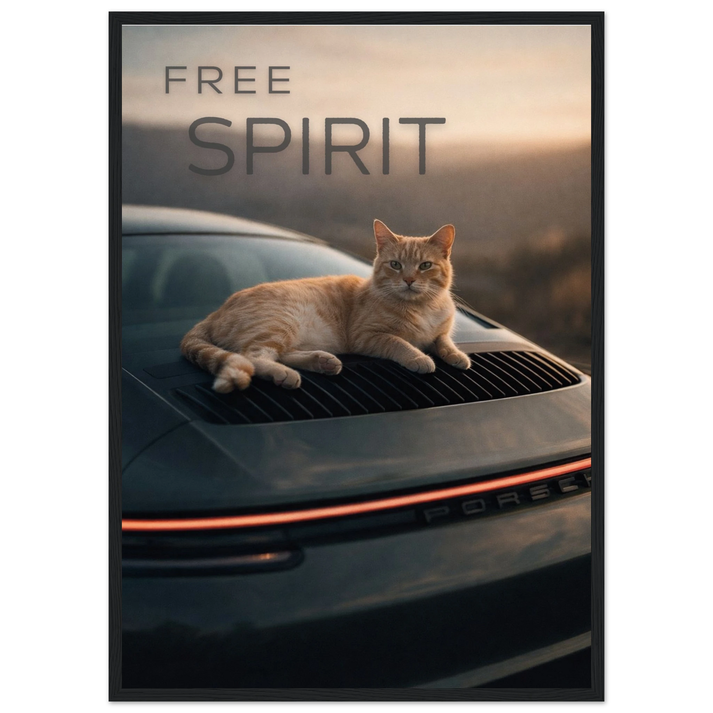 7910f96c-abc9-407a-bb8f-eb34f93a8518