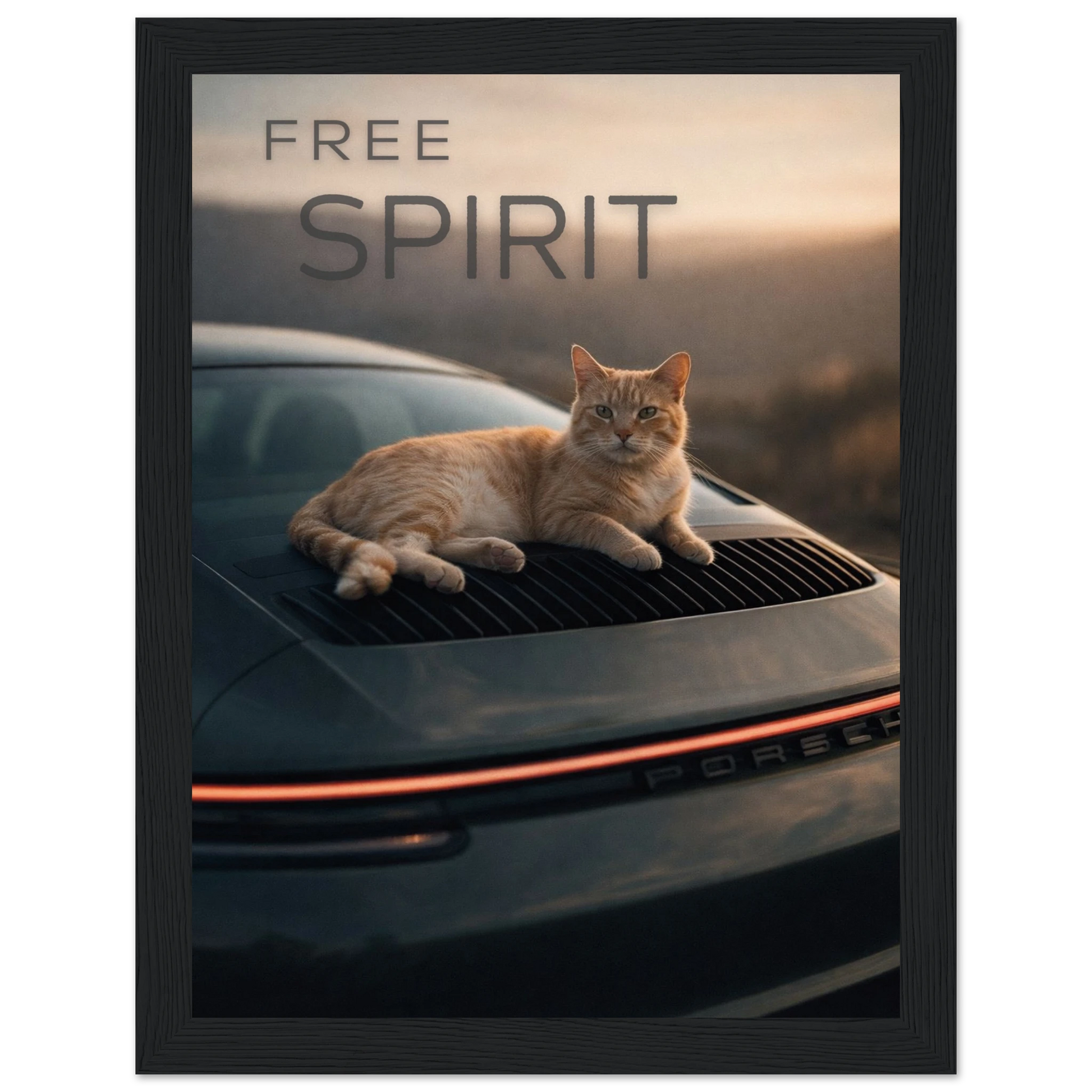 7a58a951-ac34-4e6f-b91c-9f56e3013e5e