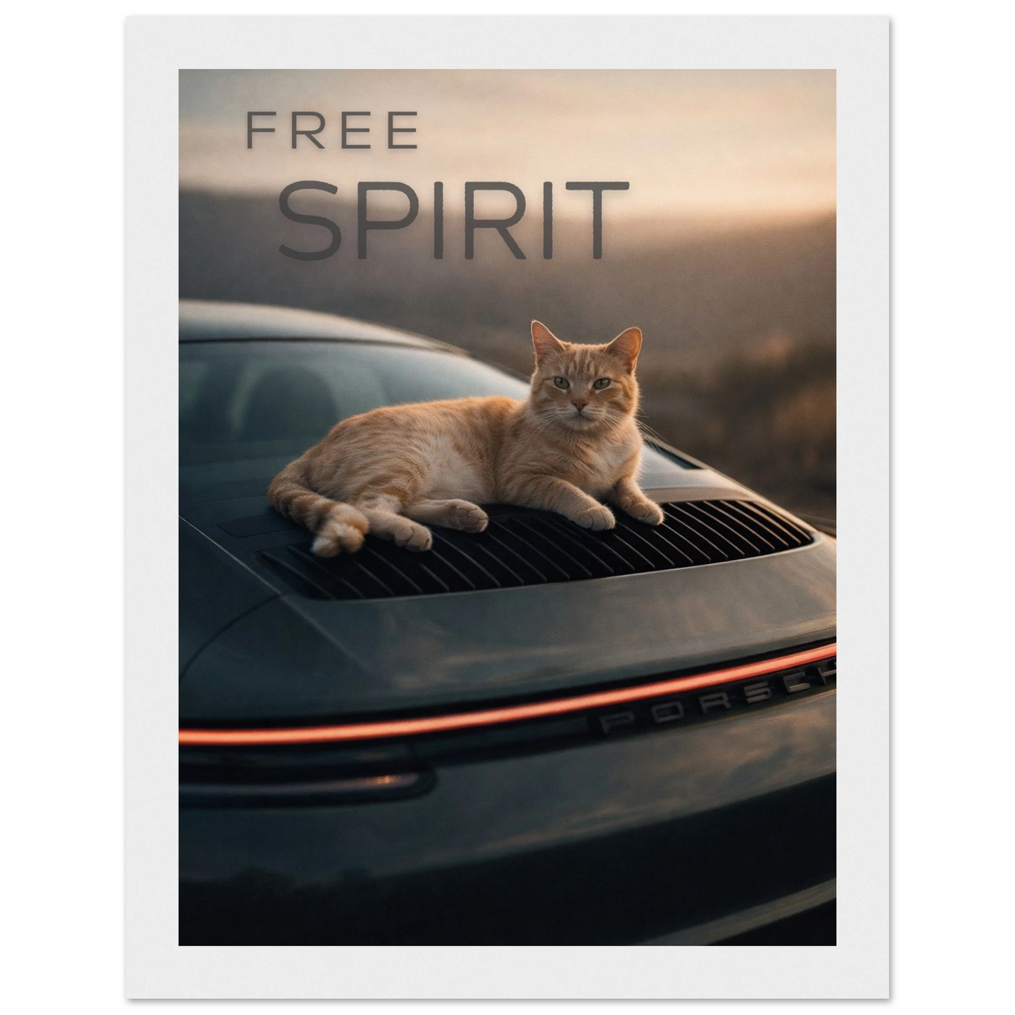 81237a45-8e2d-43d3-88f9-792cc803eb61