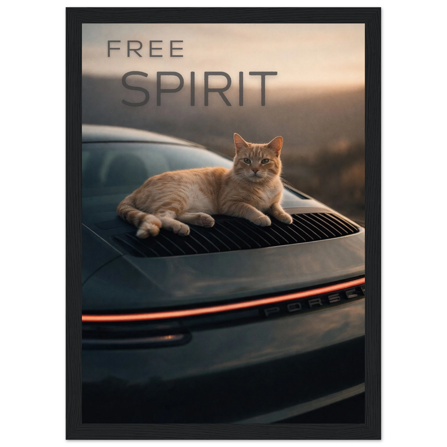 d54005b5-ebbb-4257-88b1-361b7b2728da