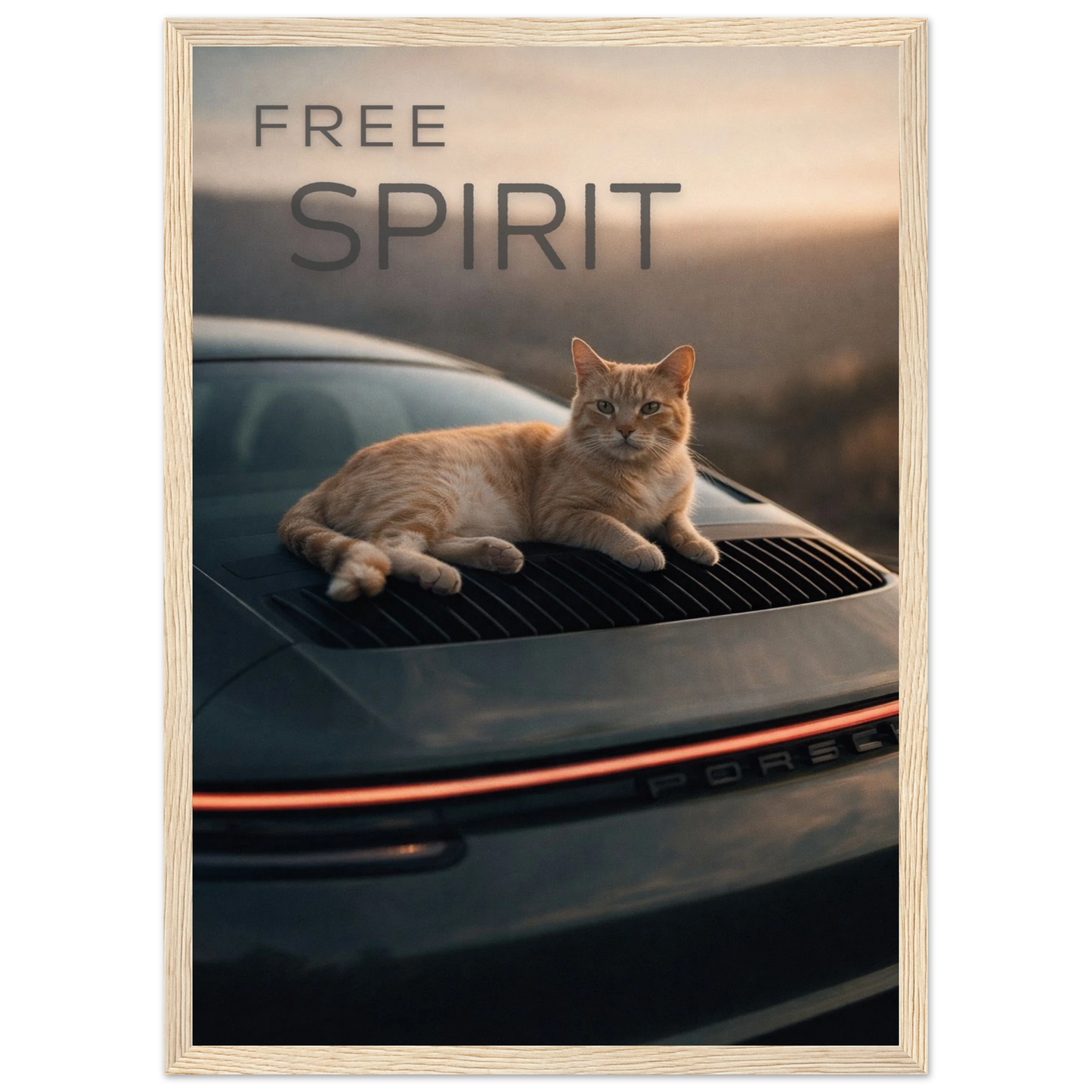 f2005d18-cc40-49f6-89d3-36b347db6874