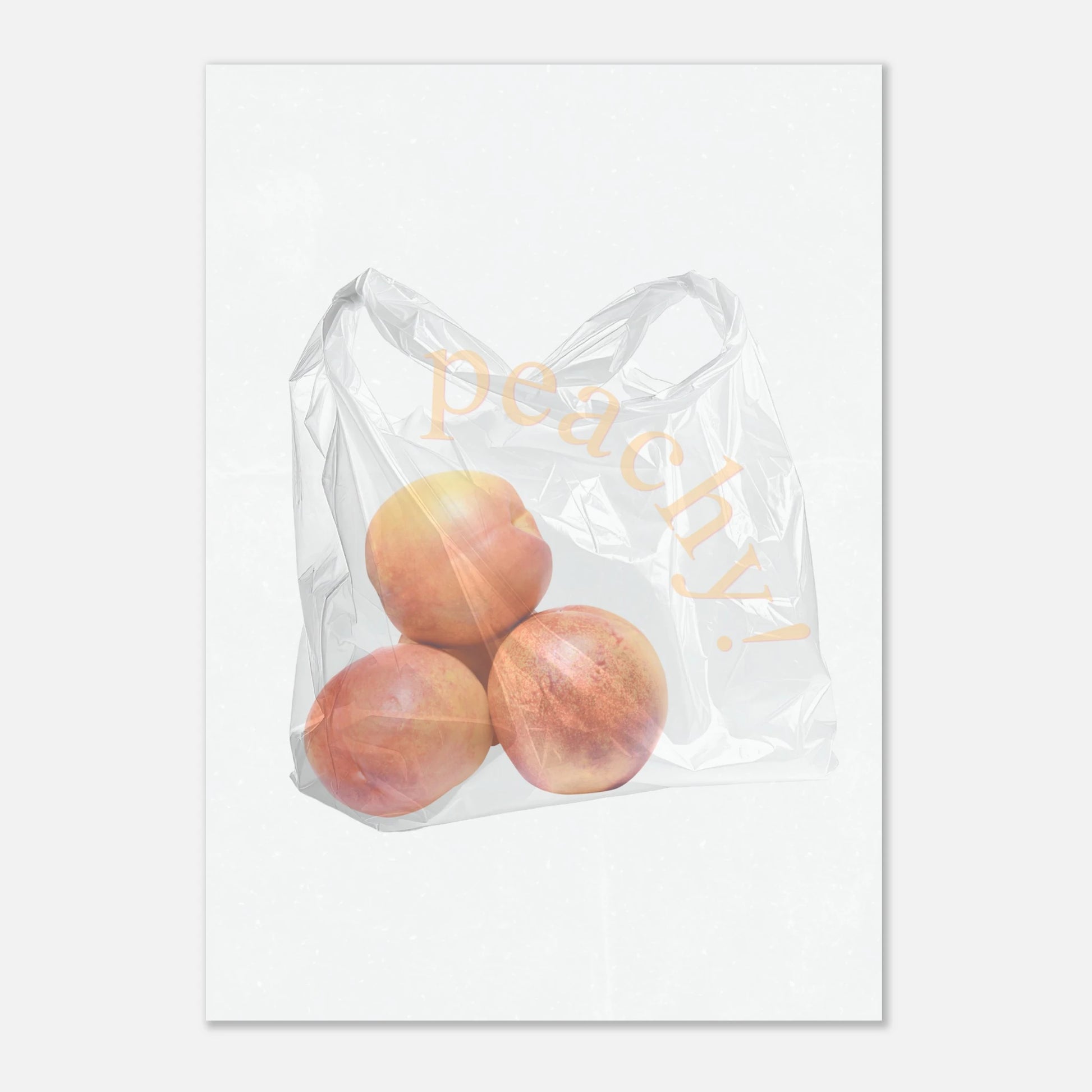 fab43f17-0356-4483-9c60-e5b101a656f6