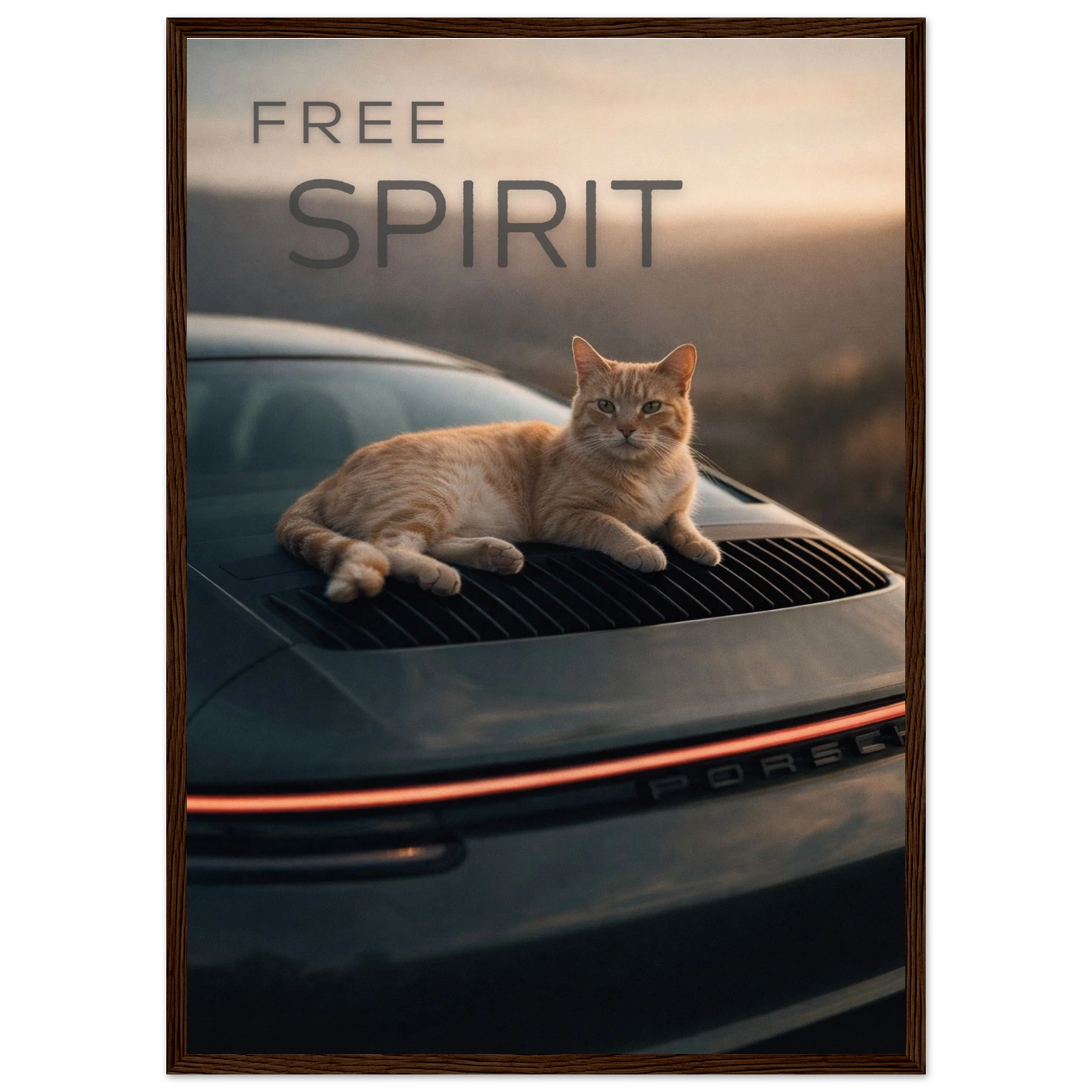 fd6870ce-578a-4eb6-a7bf-600efebbb0de